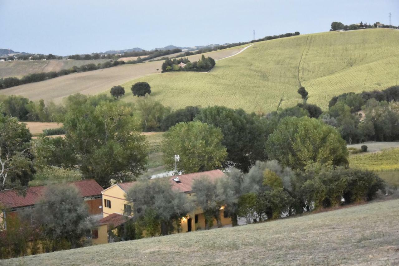 Agriturismo Fattoria Del Colle Iesi Exterior photo