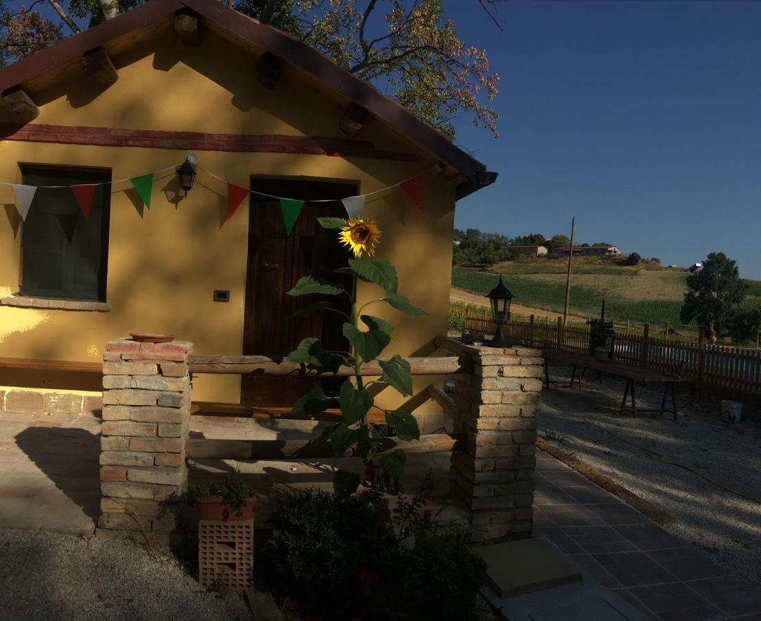 Agriturismo Fattoria Del Colle Iesi Exterior photo
